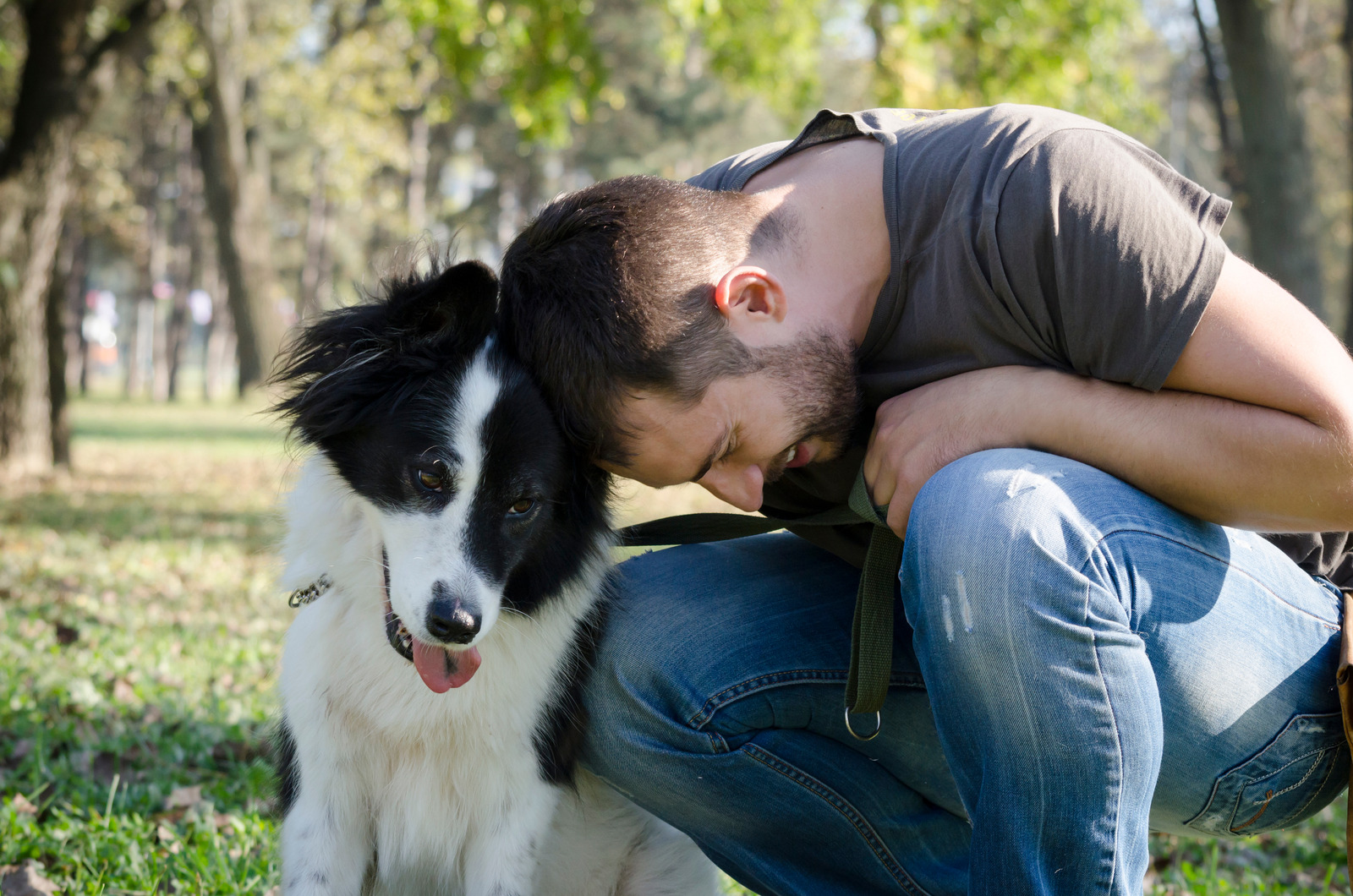 How Can Emotional Support Animals Aid In Anxiety Sense About Science Blog