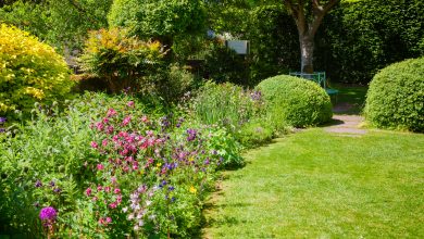 Photo of How can you improve your garden in time for Summer?