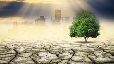 Photo of Climate Scientists: How Are They Trying to Slow Climate Change?