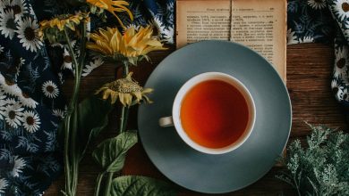 Photo of 8 Reasons to Try South America Tea