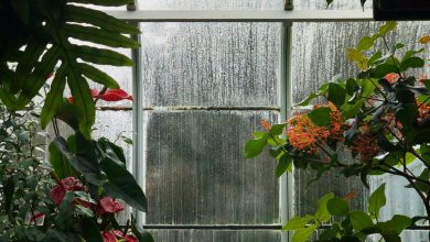 Photo of Understand the Science behind Condensation and How to Control it this Winter in Your Home