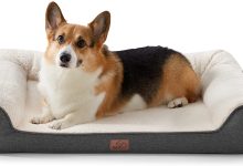 Photo of Bedsure announces Sleep Solutions for Pet Health and Wellness