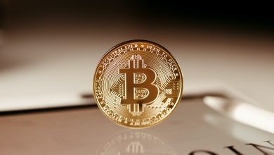 Photo of Bitcoin Bank Breaker App