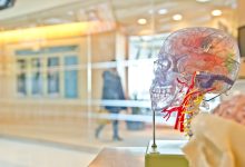 Photo of Simple Tips for Keeping Your Brain Sharp