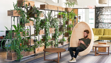 Photo of Creating a Healthier Office: What Science Really Tells Us