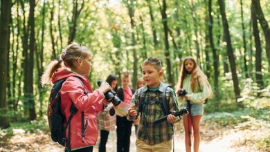 Photo of Growing Minds in the Great Outdoors: The Science Behind Forest School Nurseries