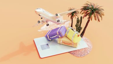 Photo of Flight Pricing Algorithms: How Data and Science Set the Ticket Price For Cheap Flight Tickets