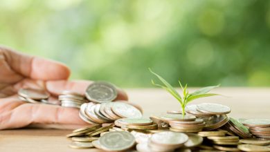 Photo of LFtrade.net Review: Building Wealth on a Teacher’s Salary