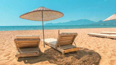 Photo of The Science of Discounts: Are Holiday Deals Really Worth It?