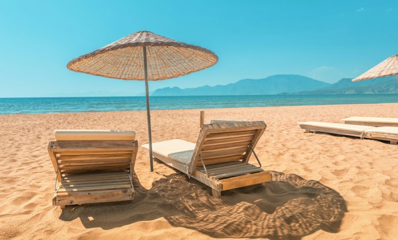 Photo of The Science of Discounts: Are Holiday Deals Really Worth It?