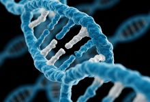 Photo of The Sample Preparation Problem: Variability, Heating, and Labor Bottlenecks