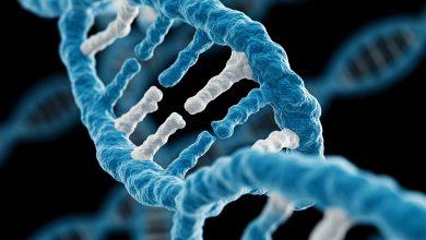 Photo of The Sample Preparation Problem: Variability, Heating, and Labor Bottlenecks