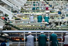 Photo of Inside a food production factory