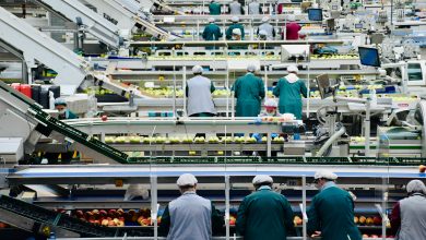 Photo of Inside a food production factory