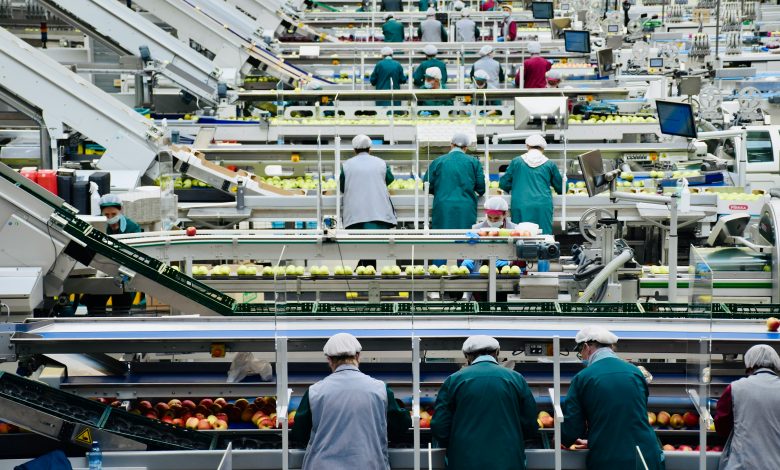 Inside the UK’s Food Manufacturing Industry