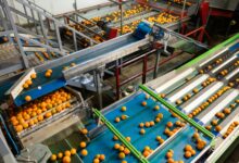 Photo of Conveyor belt cleaning solutions for your industry