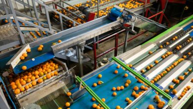 Photo of Conveyor belt cleaning solutions for your industry