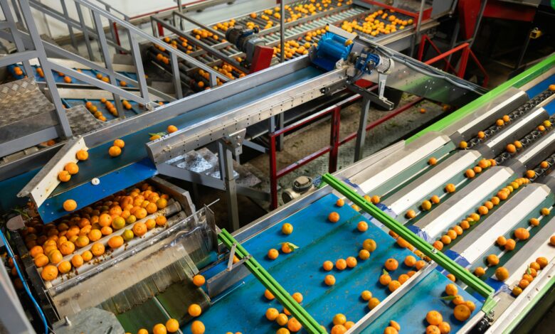Industry-Specific Conveyor Belt Cleaning Solutions