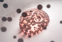 Photo of Blood immune cells enter ageing brain, Stanford study in Nature finds