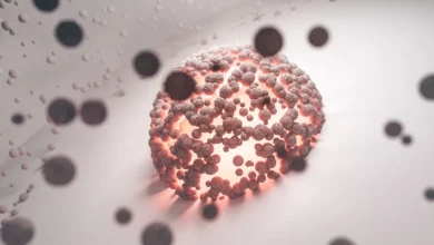Photo of Blood immune cells enter ageing brain, Stanford study in Nature finds