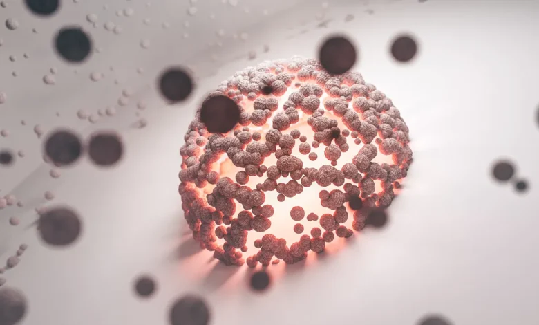 blood immune cells brain ageing