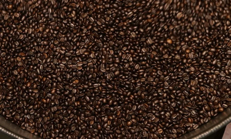coffee body composition study