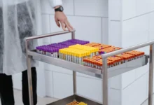 Photo of Gut microbiome medication history may linger for years, study finds