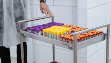 Photo of Gut microbiome medication history may linger for years, study finds