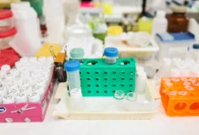 Photo of Alzheimer’s 3D genome organisation disrupted across multiple brain cell types, study in Science finds