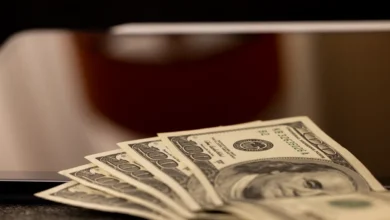 Photo of Experian Cashflow Attributes for commercial lenders targets thin-file SME credit gap