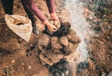 Photo of Indonesia Peat Fires 2026: Underground Blazes Test Post-2015 Reforms