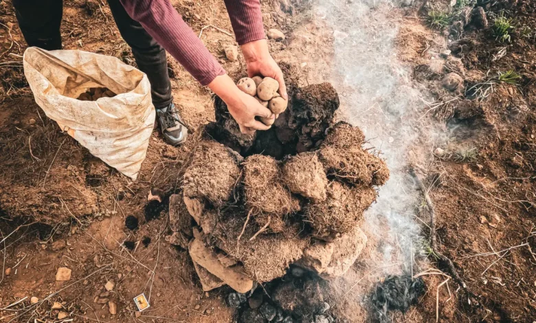 Indonesia peat fires 2026