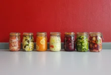 Photo of Kimchi bacterium nanoplastic removal claim tested in mice, what the data show