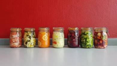 Photo of Kimchi bacterium nanoplastic removal claim tested in mice, what the data show