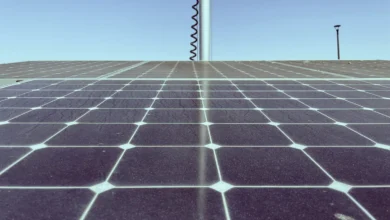 Photo of Rochester’s solar desalination brine-free system recovers lithium from seawater