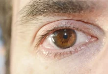 Photo of POLO pathway eye drainage: scientists map unknown waste route at back of the eye