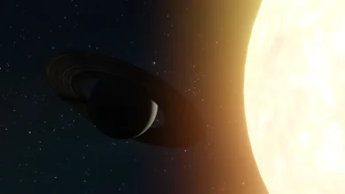Photo of Webb Extreme Debris Disks Reveal Scale of Planet-Smashing Collisions